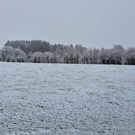 ベッド・アンド・ブレックファスト Habitat Momignies