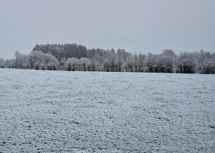 Bed & Breakfast Habitat Momignies